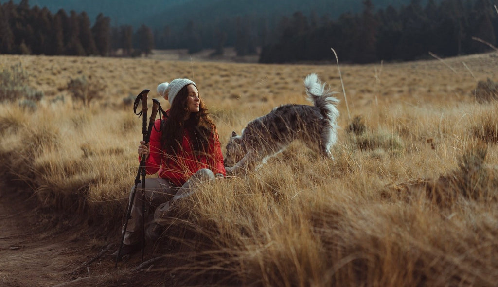 A girl on a hike, sitting next to her dog in a beautiful field with a mountainous backdrop