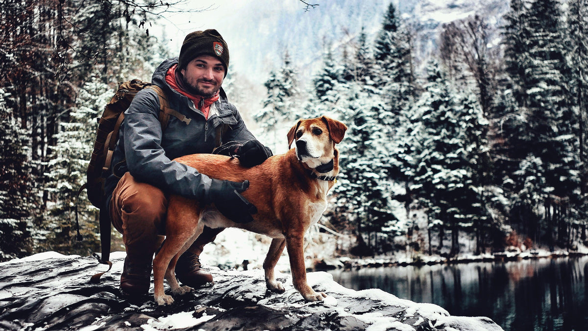 Mohawks & Motorcycles: Lonely Days on the Road Again – DOGPAK