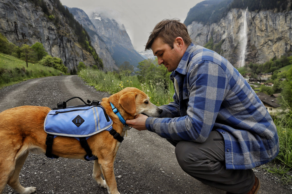 Man and his dog backpacking in a beautiful Swiss mountain valley with a waterfall in the background