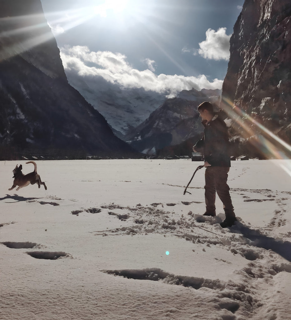 Throwing a stick for a bounding dog in the Lauterbrunnen Valley of Switzerland