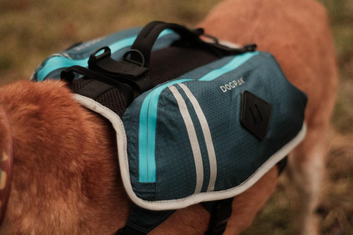 wanderrucksack für kleine hunde Moab Lite | Premium Hunde-Wanderrucksack